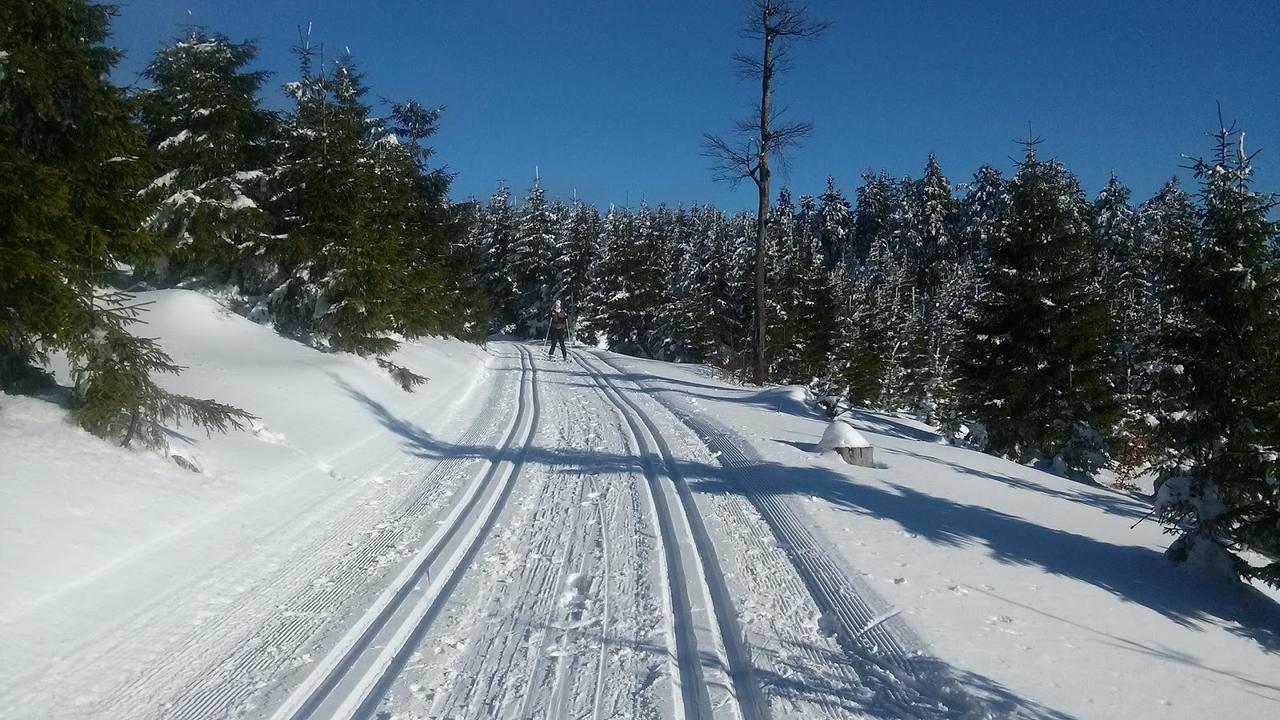 Penzion Eliska Петріков Екстер'єр фото