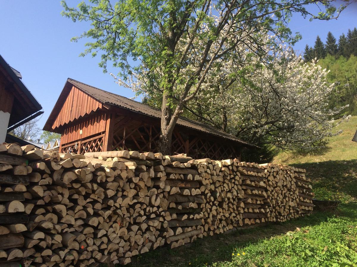 Penzion Eliska Петріков Екстер'єр фото